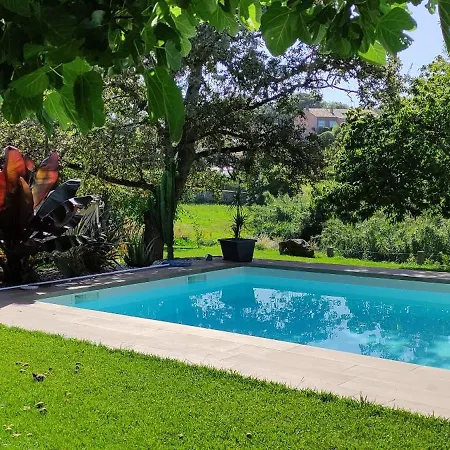 Tatil Evi Casa Playa La Solana En